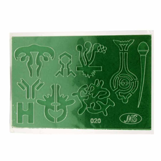 图片 生物模板 - 020