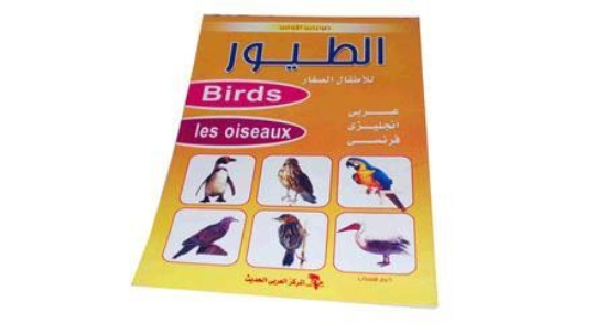 Bild von Mein erstes Bilderbuch Vögel für Kinder Modernes Arabisches Zentrum
