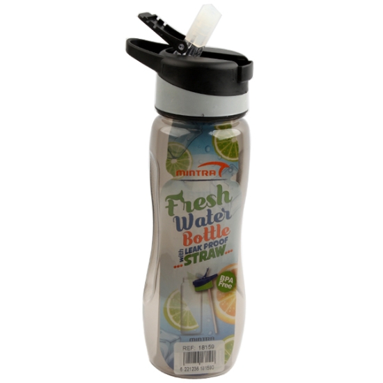 Picture of Water Bottle with Straw Lid 650ml Plastic Colorful - Mintra 18159