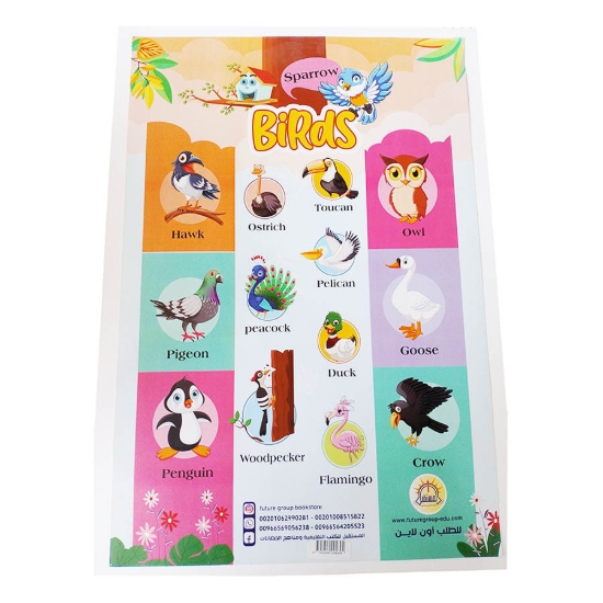 Picture of Birds poster A3